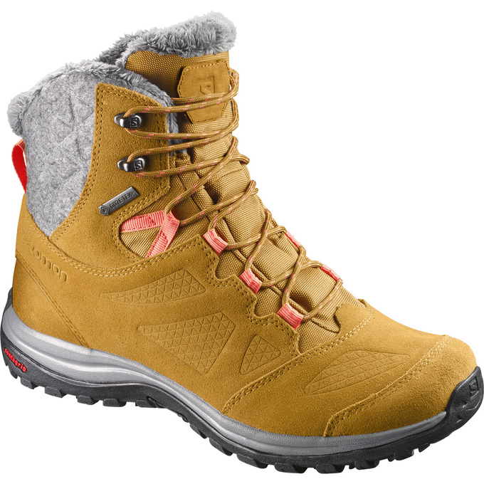 Botas De Invierno Salomon Hombre Marrones - Salomon Argentina ELLIPSE GTX® ,167934-PWH